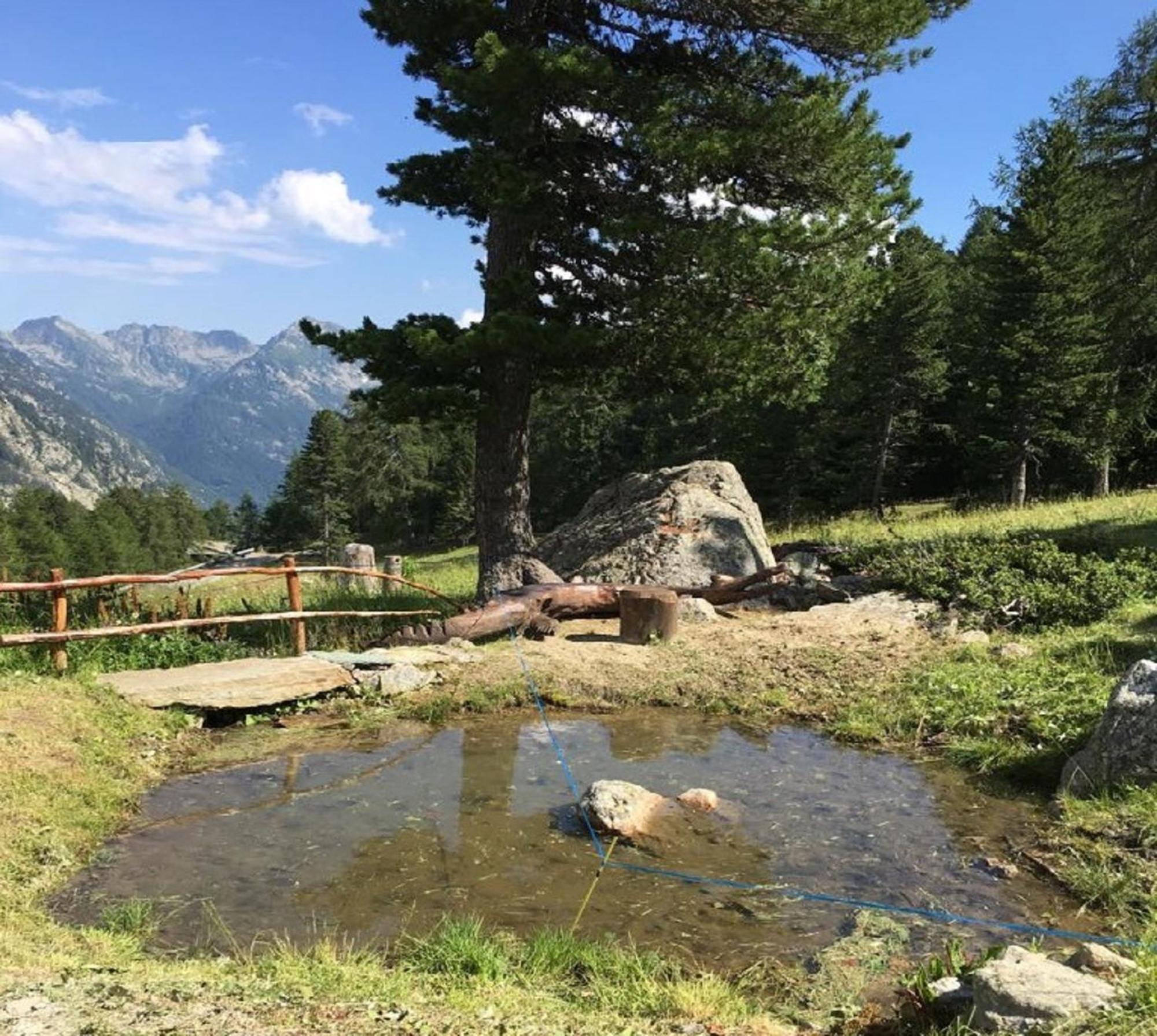 Baite Cialvrina Chalet *