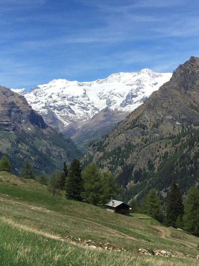 Chalet Baite Cialvrina