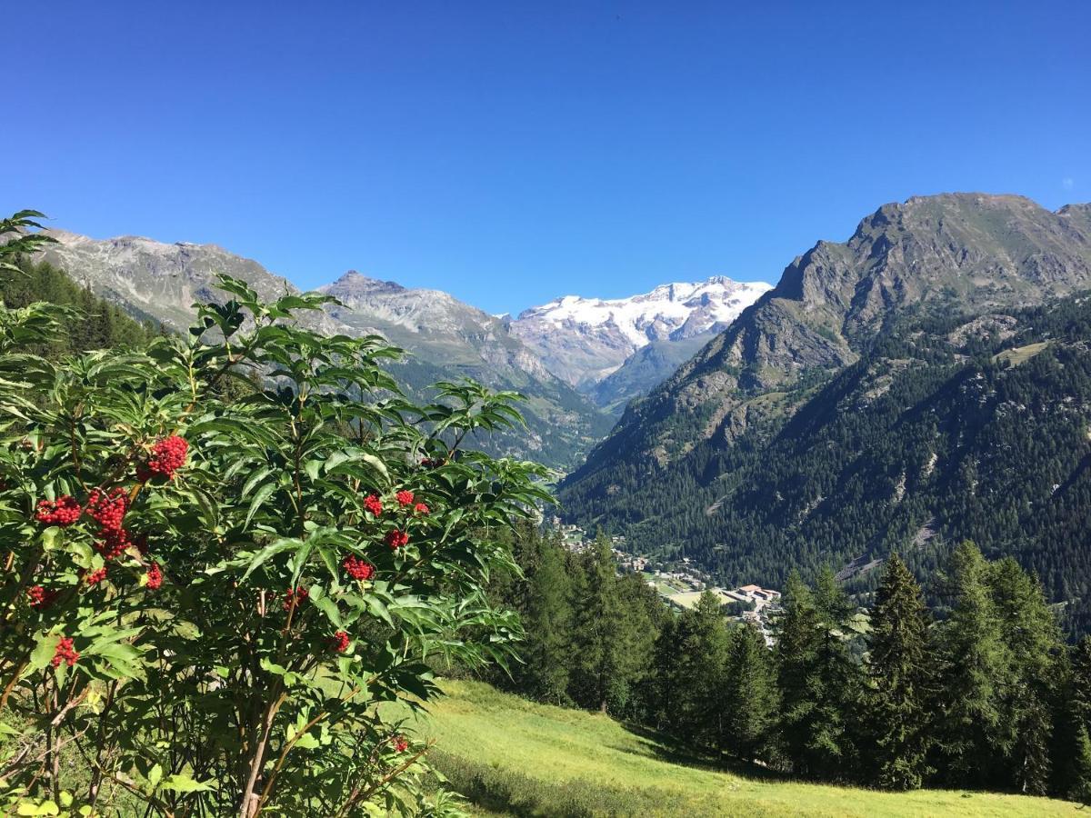 Baite Cialvrina * Gressoney-Saint-Jean